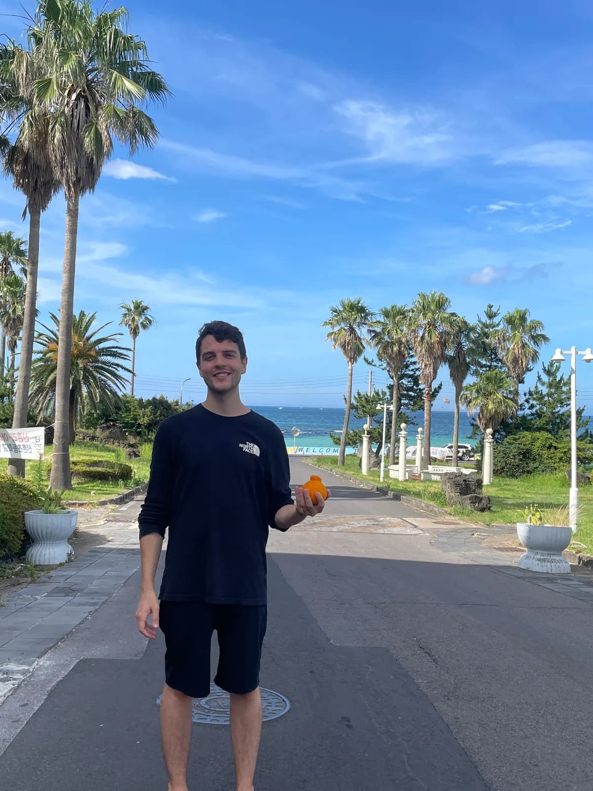 Nick on a palm-lined road by the sea